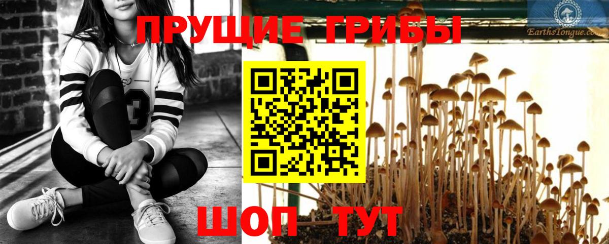 Псилоцибиновые грибы MAGIC MUSHROOMS Михайловка