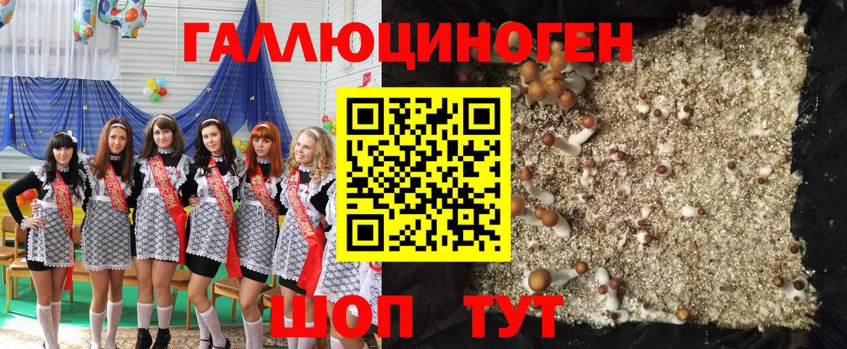 Галлюциногенные грибы Psilocybine cubensis  дарнет шоп  Михайловка  Галлюциногенные грибы MAGIC MUSHROOMS  Вход с VPN 